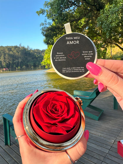Caja con Rosa Eterna & Collar Personalizado con Nombres