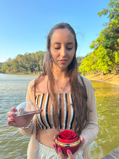 Caja con Rosa Eterna & Collar Personalizado con Nombres