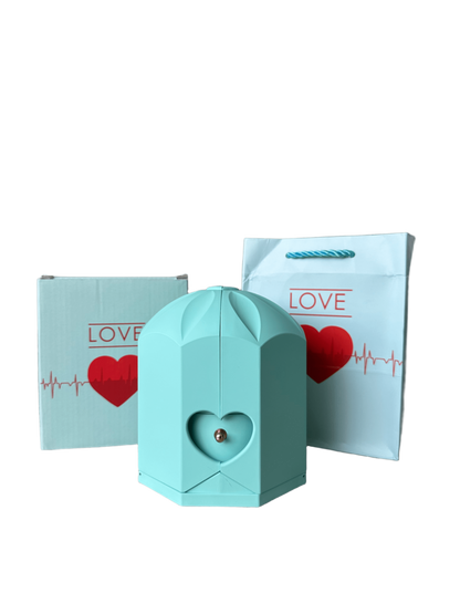 Caja con Girasol Eterno & Collar Corazón Personalizado