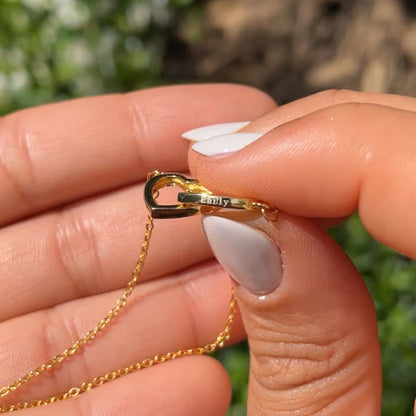 Oso con Rosa Eterna & Collar Personalizado con Nombres