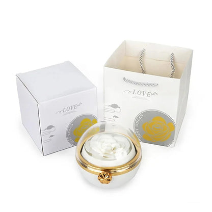 Caja con Rosa Eterna & Collar Personalizado con Nombres